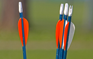 Entraînement
